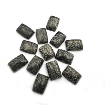 Natural Black Fossil Coral Cushion Cabochon Gemstone Lot 21 Pcs 10*14 MM 115 CT