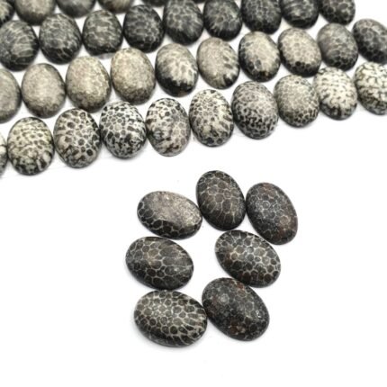 Natural Black Fossil Coral Oval Cabochon Loose Gemstone Lot 27Pcs 10*14 MM 125CT