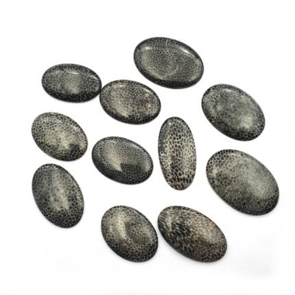 Natural Black Fossil Coral Oval Cabochon lot 4 Pcs 22-26*23-38 MM 106CT