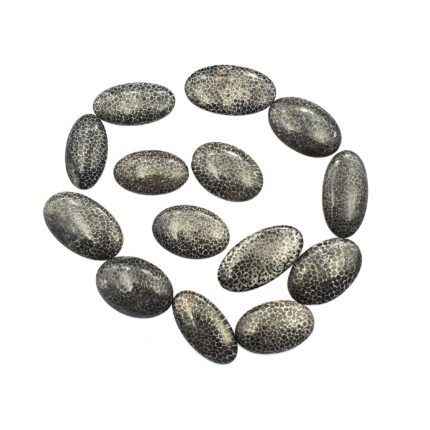 Natural Black Fossil Coral Oval Cabochon lot 6 Pcs 15-19*28-34 MM 100CT