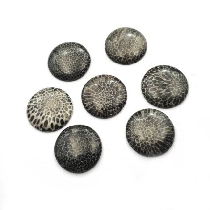 Natural Black Fossil Coral Round Cabochon lot 7 Pcs 21-22 MM 104 CT