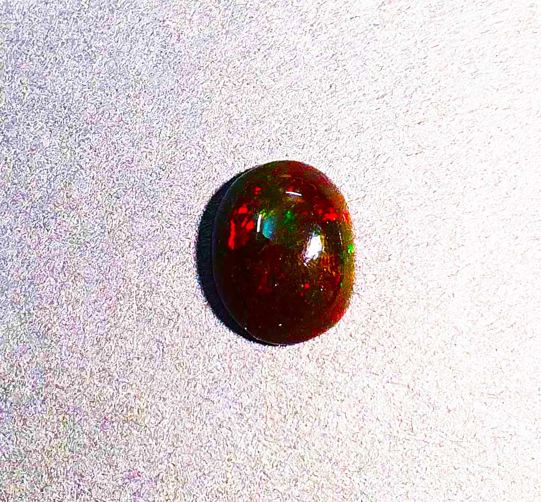 20230624-160916_1.jpg