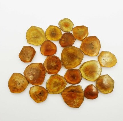Natural BI-Color Tourmaline Slices Gemstone Lot 20 Pcs 14.50*15-23*24 MM 249 CT