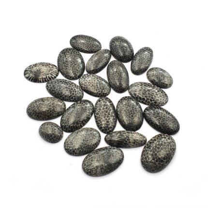 Natural Black Fossil Coral Oval Cabochon lot 9 Pcs 11-14*15-25 MM 100 CT